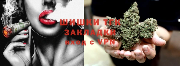 хмурый Горняк