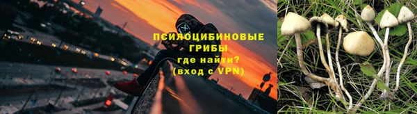 хмурый Горняк